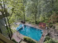 Chandys Windy Woods Munnar - Pool
