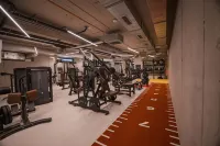 Villa Fitz - Gym