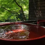 Araki Kousen Ryokan (Japanese-Style Hotel) Hotels in Chichibu