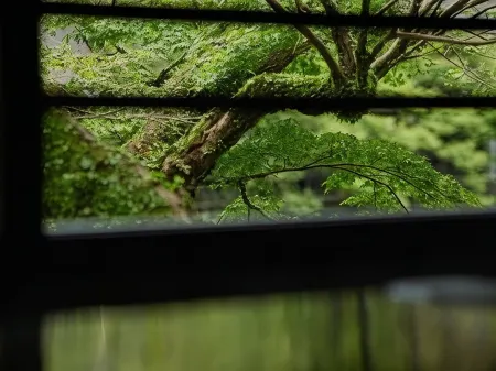 Myoken Hotel Отели в г. Кирисима