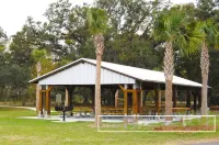 Cozy Home Fenced in Yard, Near Dwntwn&Beaches