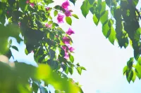 Yihuan Mountain House Featured Homestay