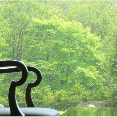 Hotels in Forest Waldberg