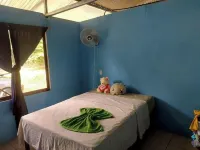 Casa Familiar Grande Mono Congo de osa