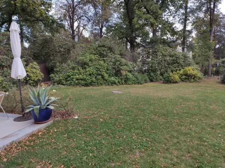 Vacation in a quiet villa, large parks nearby, close to the city