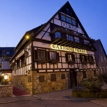 Hotel Traube nähe Messe Stuttgart ホーエンハイム大学周辺のホテル