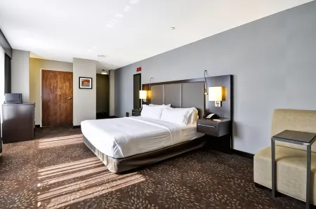 Holiday Inn Express ROMULUS / DETROIT AIRPORT by IHG