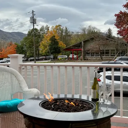 Adorable Downtown Black Mountain Retreat - Steps to Everything