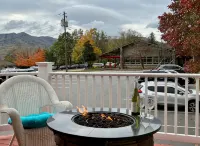Adorable Downtown Black Mountain Retreat - Steps to Everything