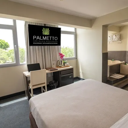 Palmetto Hotel Business San Miguel