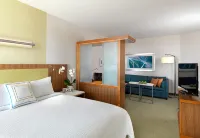 SpringHill Suites Buffalo Airport