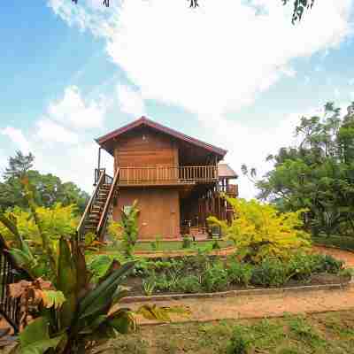 Jungle Hut Resort Sigiriya Hotel Exterior