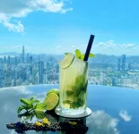 เดอะ เซนต์รีจิส เซินเจิ้น - สระว่ายน้ำแบบอินฟินิตี้