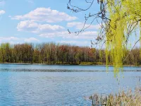 Charming lake front 3-bedroom cottage in Coldwater, Michigan Hotels in Branch County