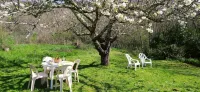 Villa in Ardouane, in the heart of the Parc Naturel Régional du Haut Languedoc, Voie Verte - Villas