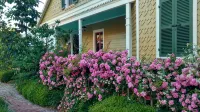 Historic charm and secret gardens. Central location. Bay St. Louis, MS