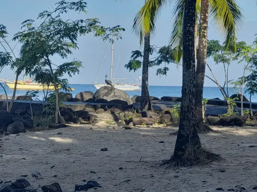 Martinique – Les Trois-Îlets, Pointe du Bout | Ideal  in the Heart of the Island - 2つ星