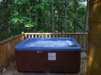 Private Log Cabin - Hot Tub, NEW SatelliteWi-Fi, Fireplace, Sm Pet Considered - Wifi