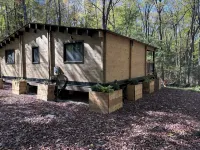 Riverside cabin in the woods