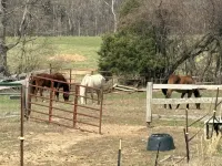 Shawnee Wine Trail Farm Stay