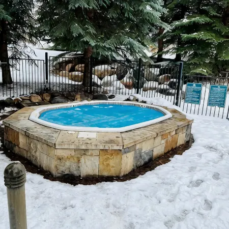 Great Family Castle Peak Ski Home