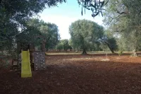 "Trulli Monte Madre 1" with Private Swimming Pool - Homestays
