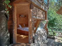 Unique Cabin