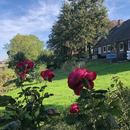 HOLIDAY APARTMENT WITH OWN SEA ACCESS AND GARDEN