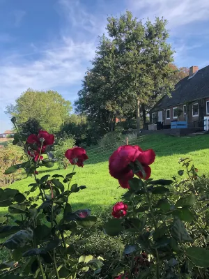 HOLIDAY APARTMENT WITH OWN SEA ACCESS AND GARDEN