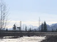 Modern Rustic Cabin with Denali View