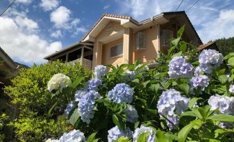 101 Grat Terrace Kamata - Vacation STAY 13857 - Housity