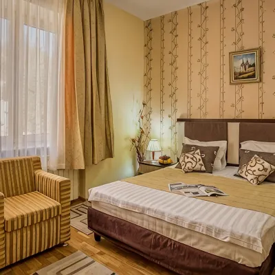 Hotel Rina Cerbul Hotels near Peles Castle