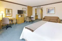 IStay Hotel Ciudad Victoria