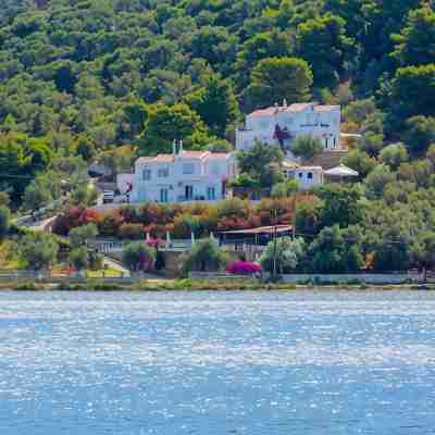 Villa Ariadni Hotel Exterior