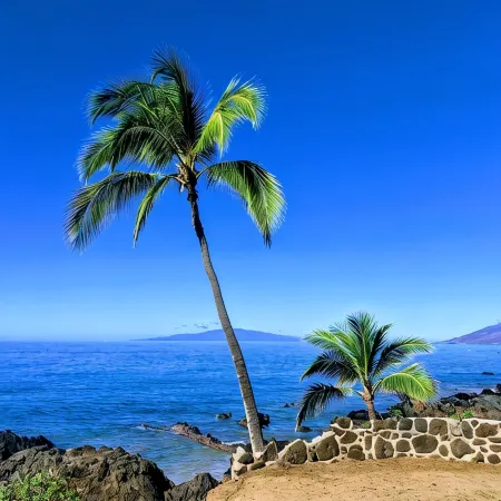 Beautiful Pacific Shores Condo 2BR, 2BA Full A/C & ready for your Maui visit!