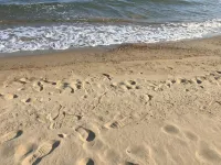 Villa Askamnia and Suites - Beach