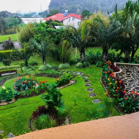 Casas del Toro