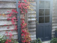 Elm Cottage Barn Hotels in Oatlands
