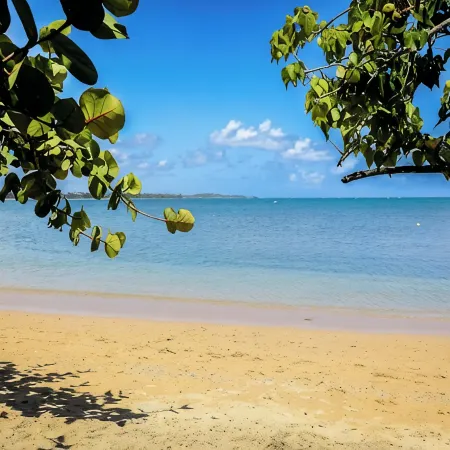 Summer Beachfront Villa – 1 Min to the Beach I Your Home Away from Home