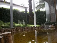 Hotel Kaanapali - Hot Springs