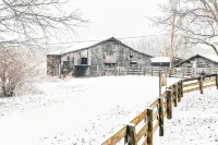 Sunset Farmhouse @ Muletown Farm• Fishing Pond • Fire Pit • Horse • Sunset Views - 3-Star