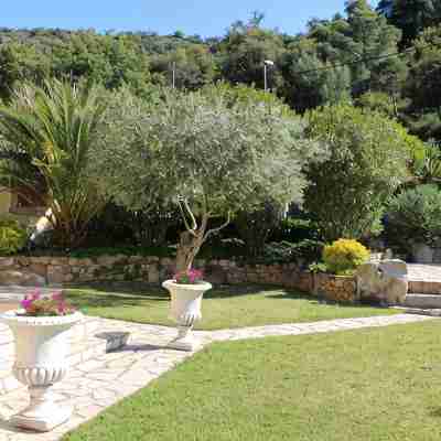 Beautiful house surrounded by an idyllic garden with salt water pool. Hotel Exterior
