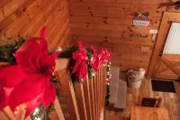 The Adaha Cabin Rustic&Cozy at Douglas Lake - Alphydda