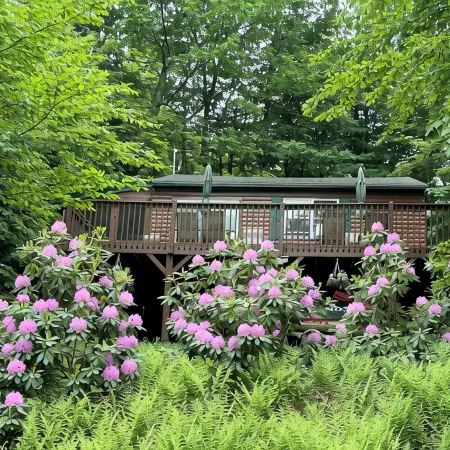 Romantic Getaway, Private Cabin Overlooking Sawyer Lake  Wifi, TV, AC, Heat