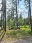 Themed Bear's Den Cabin__nestled in the pines minutes outside of Glacier Park.