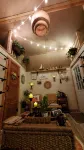 Cozy tiny cabin nested in the trees in a lake community, peaceful countryside.