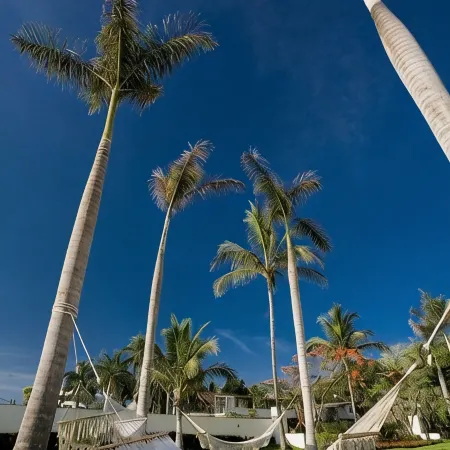 Panoramic Oceanview, Luxury Condo 3 bd, 3bath on the beach.