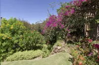 Maui Rendezvous Ekahi 33A, 1Bd/2BTH, Luxury, Remodel, Beach 3Min Walk - Jacuzzi