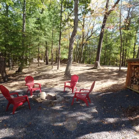 A Luxurious Cabin Quietly Tucked Away in the Woods, Dog-Friendly, Fiber WiFi