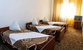 Hotel "alpinist"